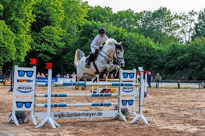 1.FotoReitturnierSchimmelamSprung