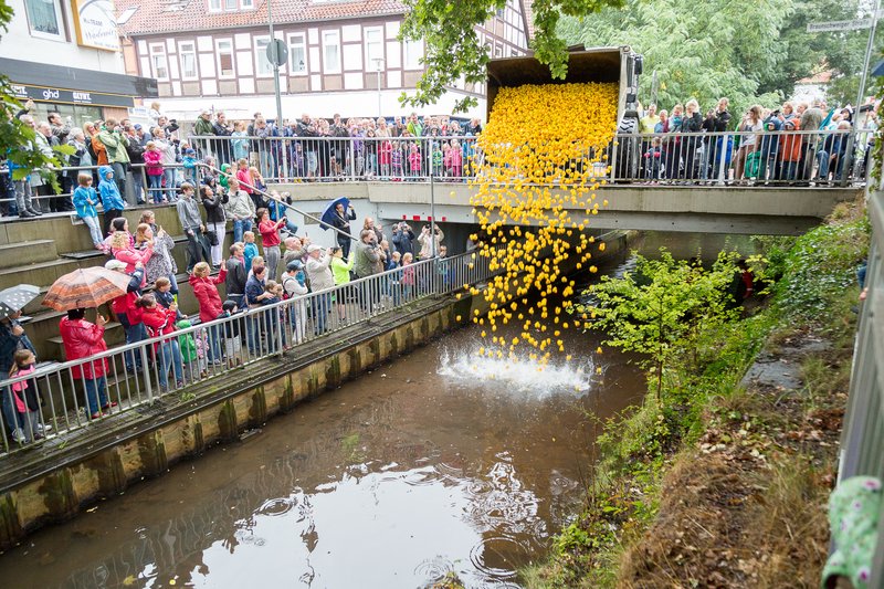 16. Entenrennen auf der Aue am 17 Mai 2025 (1)