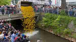 17. Entenrennen auf der Aue am 16 Mai 2026 (5)