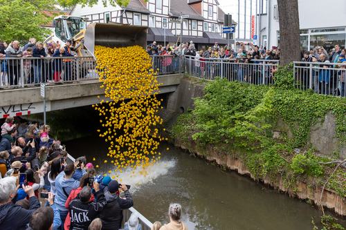 17. Entenrennen auf der Aue am 16 Mai 2026 (5)