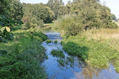 240207_bu_vvv_aue_by_joachim_luehrs