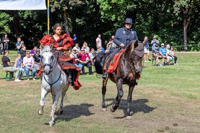 250723_bu_pferdemarkt_pegasus