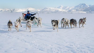 251215_bu_diaschau_hundeschlitten