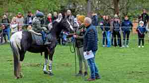 Die neue Saison der Pferde- und Hobbytiermärkte beginnt.