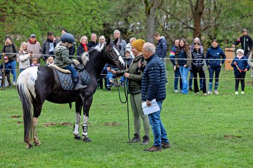 260408_bu_pferdemarkt