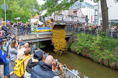 260520_bu_pferdemarkt_2