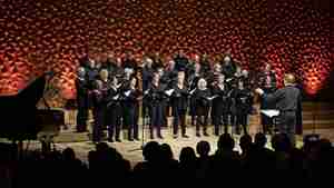 Der Burgdorfer Kammerchor "Canticum Novum" singt in der Hamburger Elbphilharmonie.