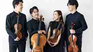 Die vier jungen Musiker spielen Werke von Ludwig van Beethoven, Joseph Haydn und Franz Schubert.