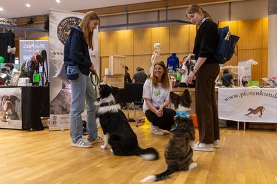 3. Burgdorfer Hundemesse am 5. und 6. April 2025-1