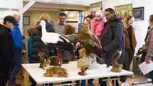 Aktionstag der Jägerschaft Burgdorf im Stadtmuseum (6)