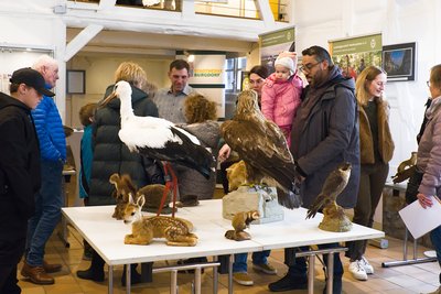 Aktionstag der Jägerschaft Burgdorf im Stadtmuseum (6)