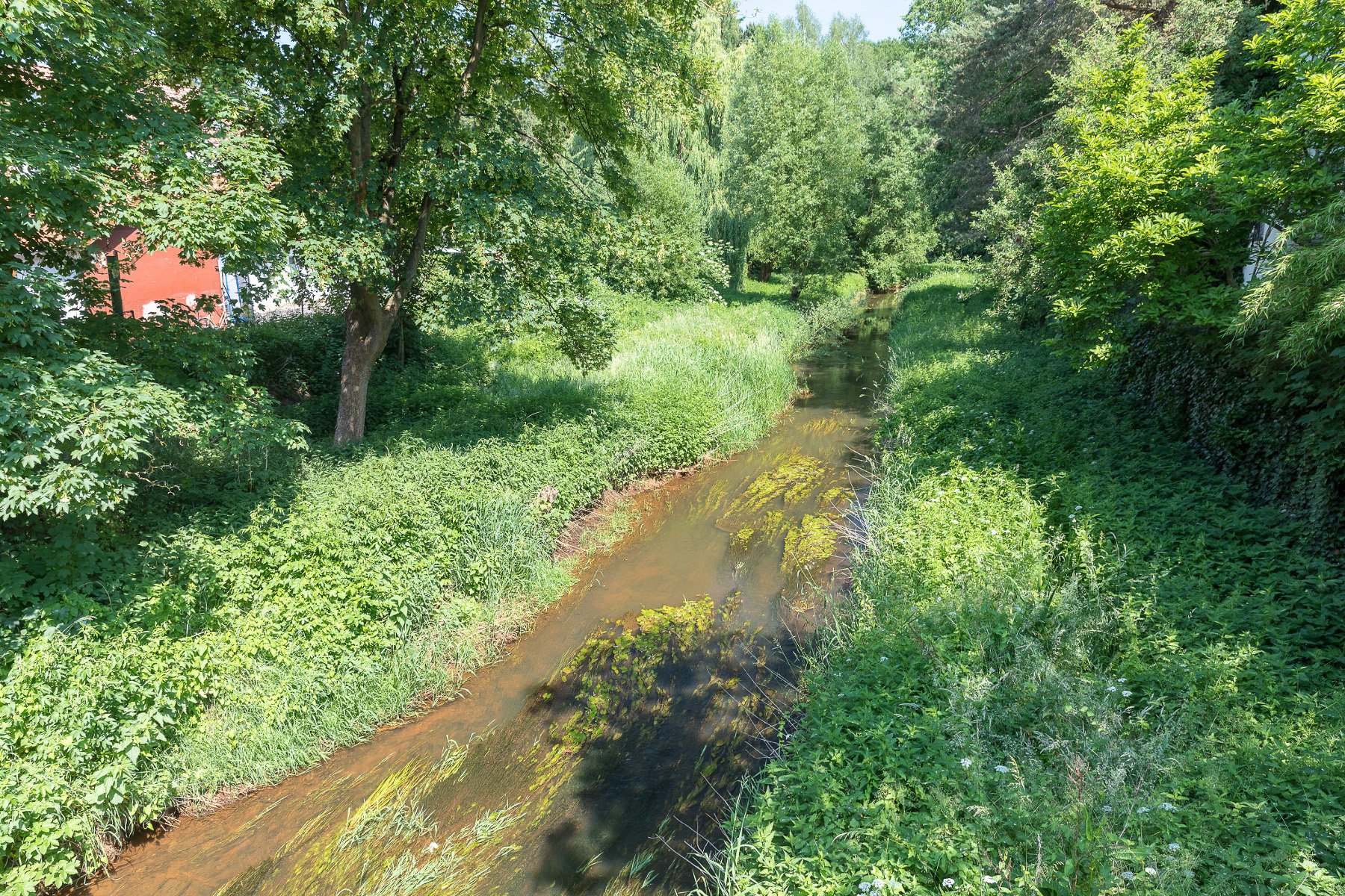 Aue in der Stadt
