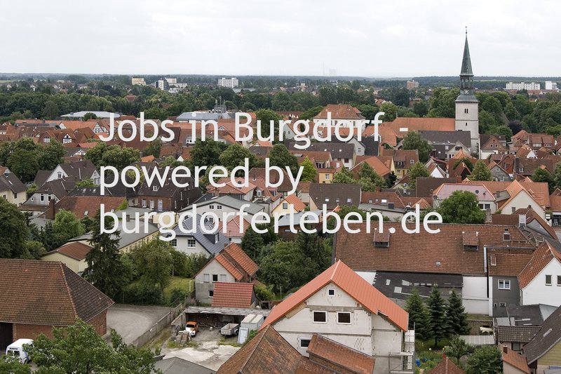 Burgdorf von oben 3 - Kopie