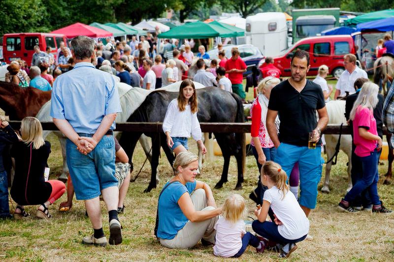 Baggerschau auf dem Pferde- und Hobbytiermarkt (2)