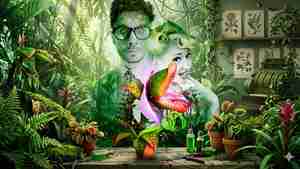 Der kleine Horrorladen (quer)