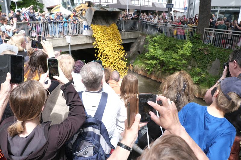 Entenrennen auf der Aue am 16. Mai 2026
