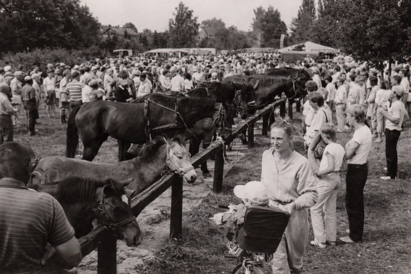 Foto 4 - Pferde- und Hobbytiermarkt in den 80er Jahren