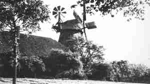 Foto 4 Fünf-Flügel-Mühle 1939