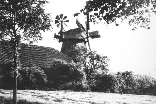 Foto 4 Fünf-Flügel-Mühle 1939