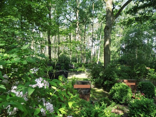 Friedhof Sorgensen-Dachtmissen