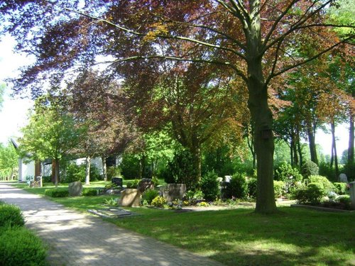 Friedhof Schillerslage
