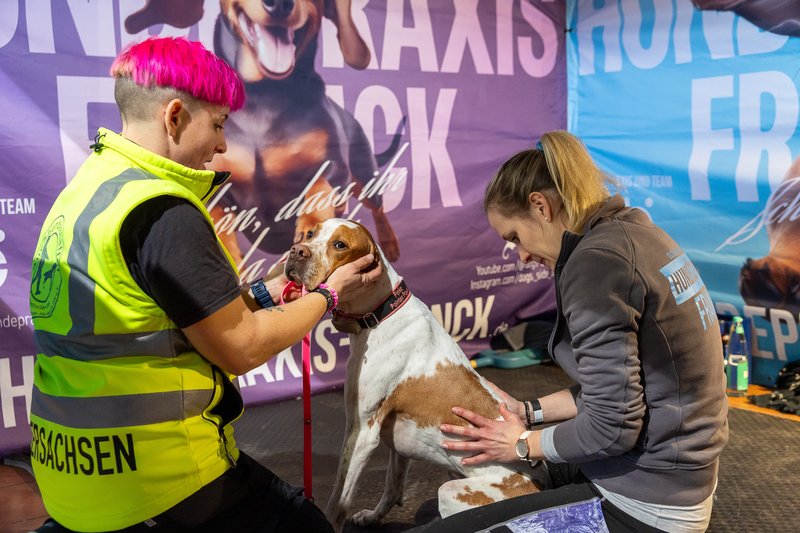 Hundemesse_07_02_26-0501