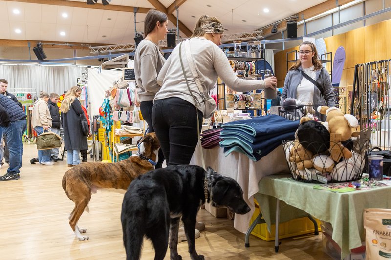 Hundemesse_07_02_26-0597
