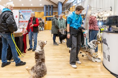 Hundemesse_07_02_26-0667