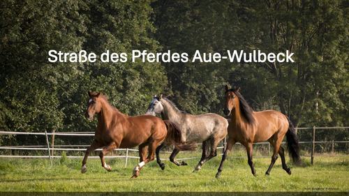 LEADER-Region Aue-Wulbeck fördert „Straße des Pferdes“