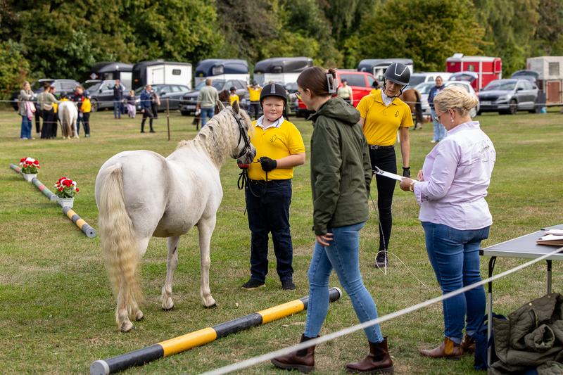 Landesmeisterschaften der Pony-Jungzüchter-1