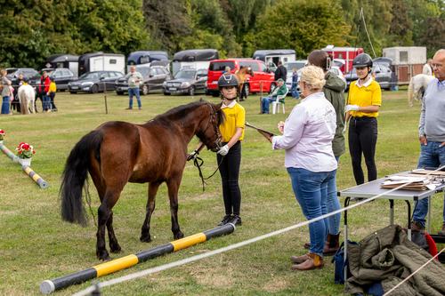 Wettstreit der Pony-Jungzüchter und Kinderfest mit Mitmachspaß
