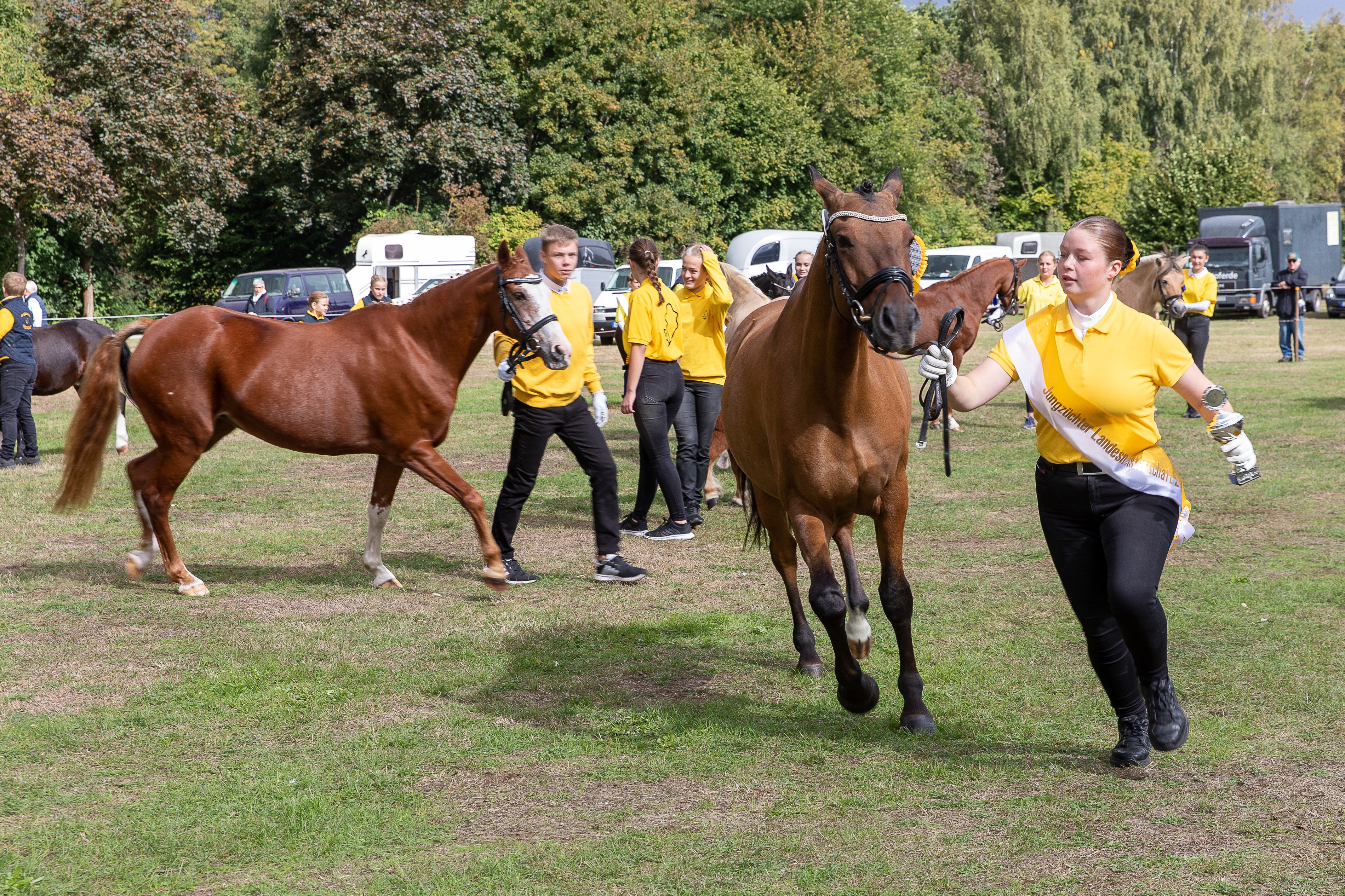 Landesmeisterschaften der Ponyjungzüchter am 20. September 2025 (3)