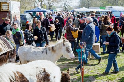 Pferde- und Hobbytiermarkt in Burgdorf 11