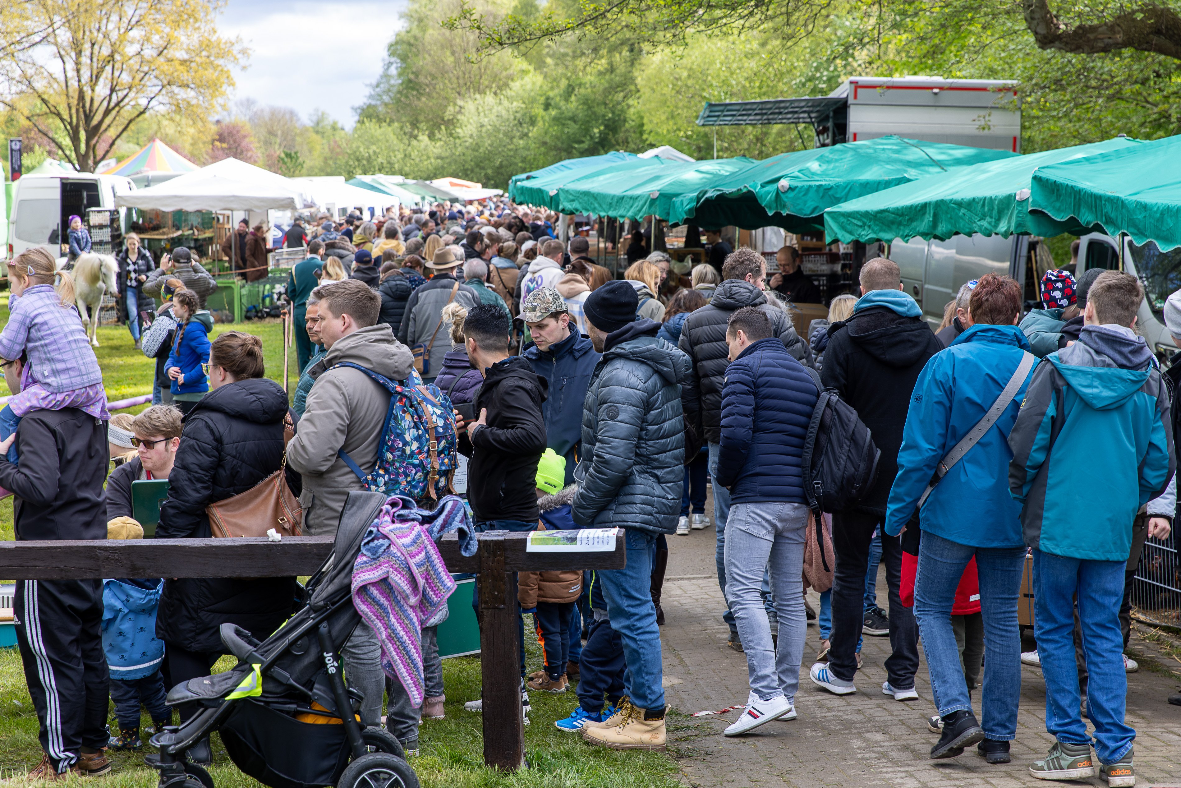 Pferdemarkt_20_04_24-4098