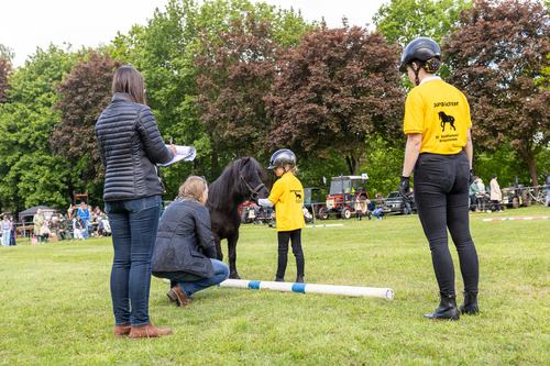 Bericht von der Bezirksmeisterschaft der Pony-Jungzüchter des Bezirksverbandes Südhannover-Braunschweig in Burgdorf
