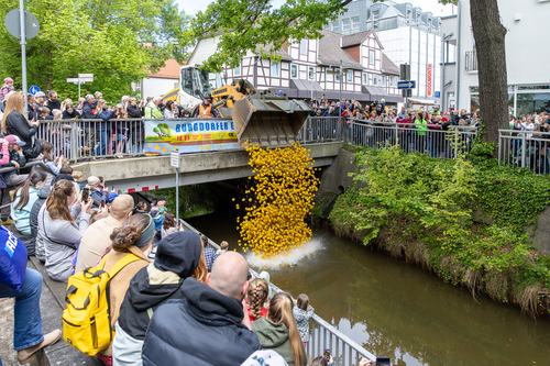 Entenrennen auf der Aue 2026 erwies sich erneut als Besuchermagnet (mit Gewinnliste)