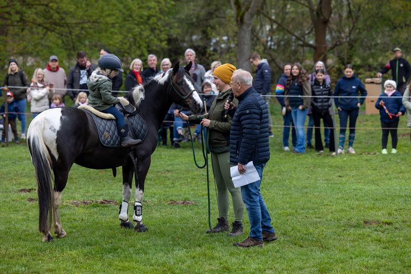 Pferderassenschau des Vereins Burgdorfer Pferdeland