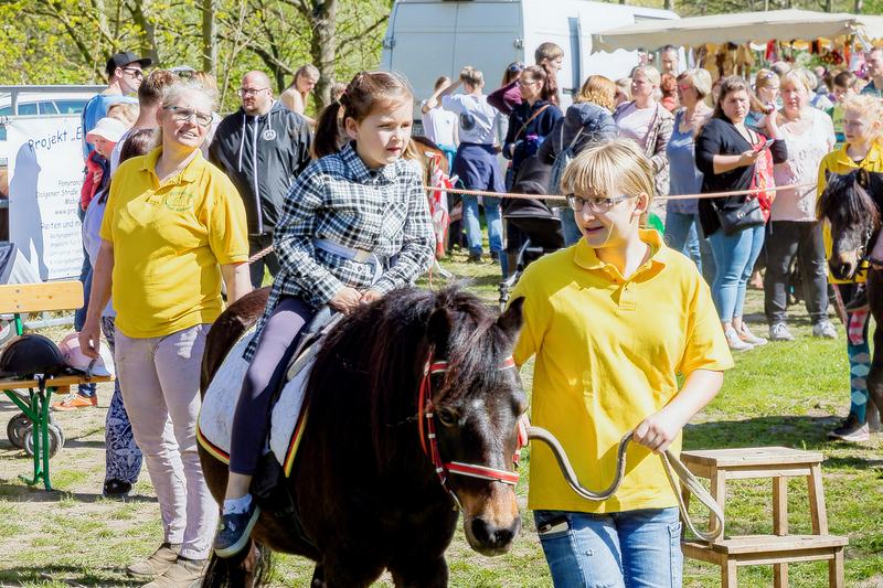 Ponyreiten auf dem Pferde- und Hobbytiermarkt