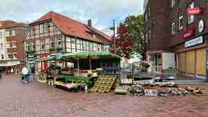 Pressefoto_Blumen_Oeser_Barsinghausen_Deutsche_Marktgilde (1)