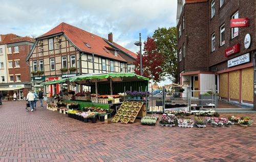 Frisch in die Gartensaison – Blumen Oeser auf dem Wochenmarkt Burgdorf