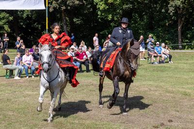 Showteam Pegasus auf dem Pferde- und Hobbytiermarkt  (1)