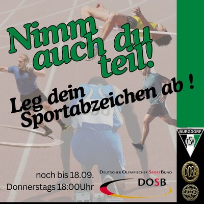 TSV Bild Sportabzeichen