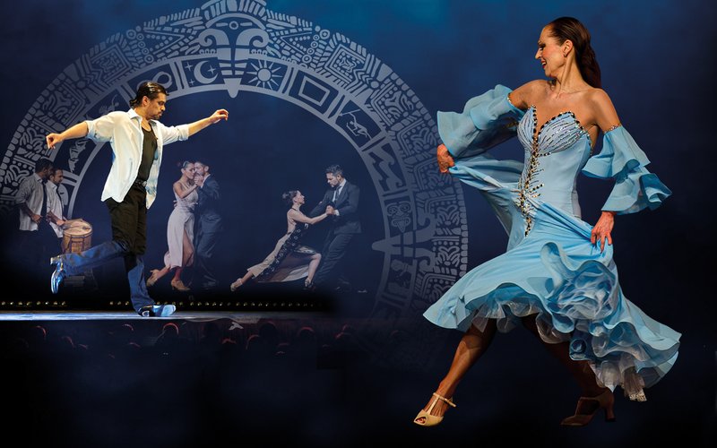 VIDA-Banner-ohne-Text03