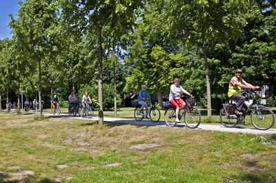 VVV Ü50-Radtour am 7. Mai 2026 (1)